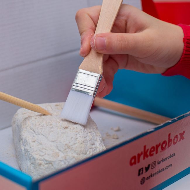 Arkerobox - Set arheologic educational si puzzle 3D, Efes - Biblioteca Celsus JEMARK2292