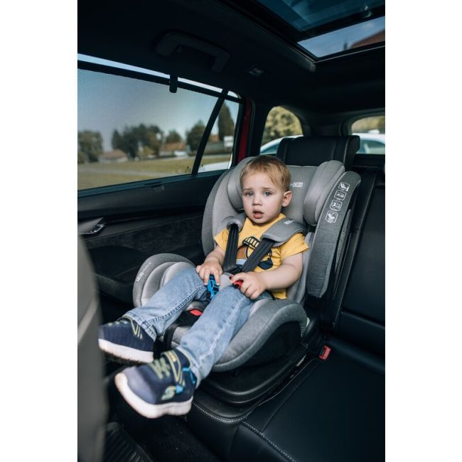 Scaun auto, FreeON, Trex, Pentru copii, I-Size, 76 - 150 cm, Tehnologie Isofix + Top Tether, Spatar si tetiera reglabile, Conform ECE R129, Grey BYN47146