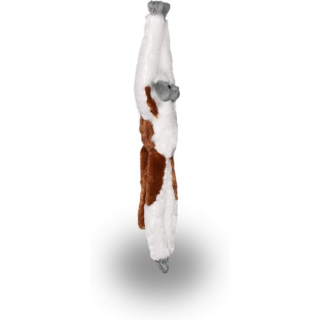 Maimuta care se agata alba wr15251