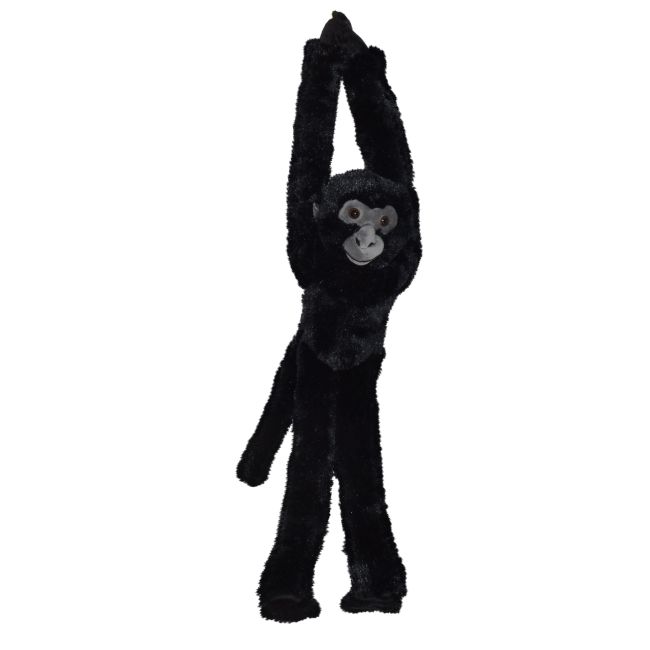 Maimuta care se agata neagra wr23482