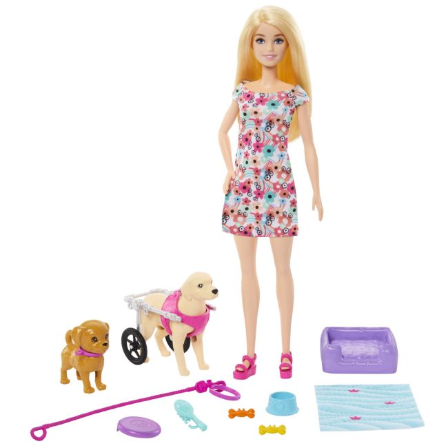 BARBIE PAPUSA BARBIE YOU CAN BE CU CATEI VIVMTHTK37