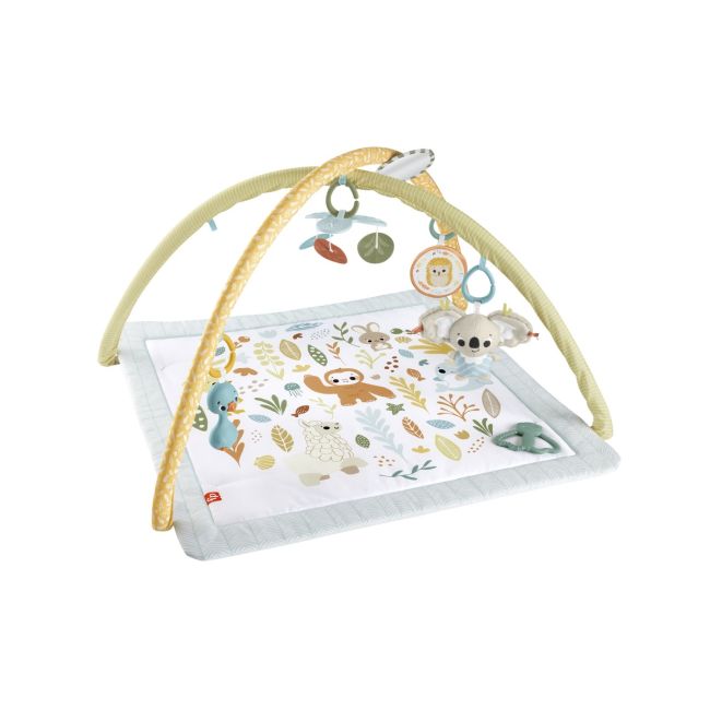 FISHER PRICE SALTELUTA DE ACTIVITATI VIVMTHRB15