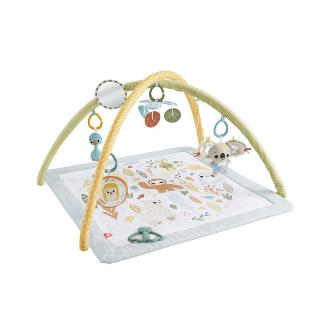 FISHER PRICE SALTELUTA DE ACTIVITATI VIVMTHRB15