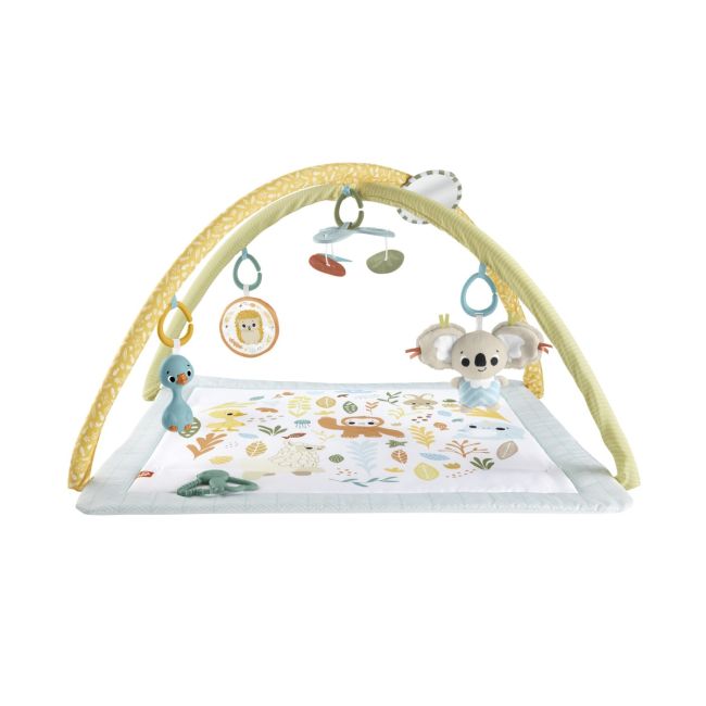 FISHER PRICE SALTELUTA DE ACTIVITATI VIVMTHRB15