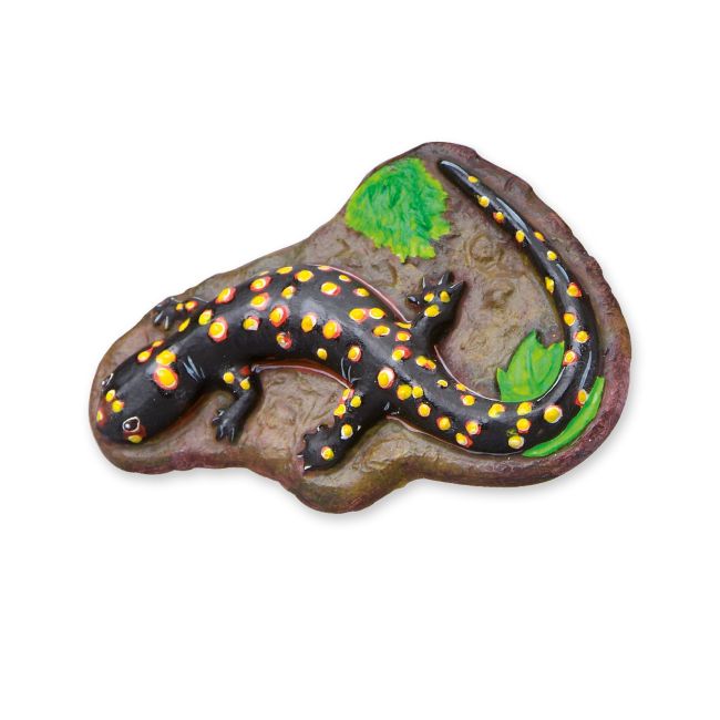 Set de lucru manual pentru copii cu animale fluorescente