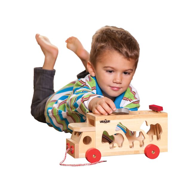 Jucarie din lemn - Camion de sortare cu forme