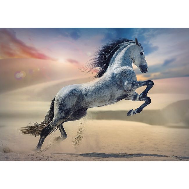PUZZLE TREFL 1000 CALUL MAIESTUOS VIV10790