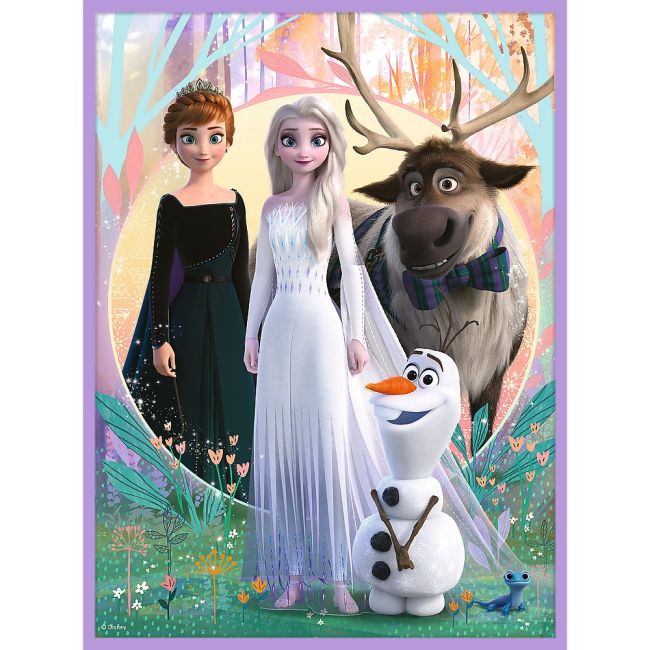 PUZZLE TREFL 2IN1 MEMO DISNEY FROZEN PRINTESELE SI TARAMUL LOR VIV93335