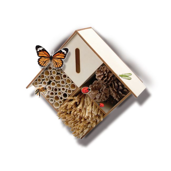 Set creativ - Hotel pentru insecte