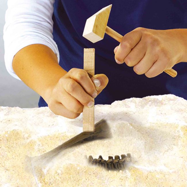 Set creativ Dino si excavarea scheletului 2 in 1 - T-rex