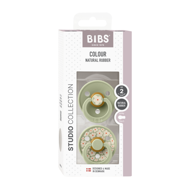 Bibs - set 2 suzete colour studio collection flower latex, tetina rotunda, 6 luni+-sage bbb12017104