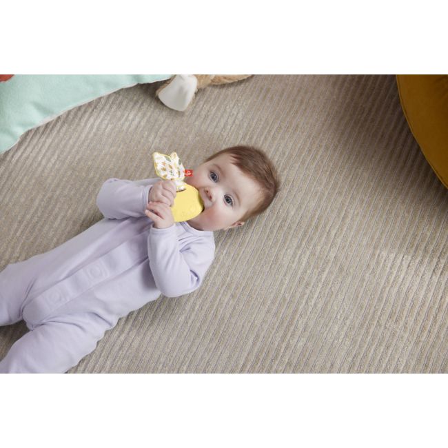 FISHER PRICE JUCARIE DENTITIE IEPURAS VIVMTHRB19_HRB20