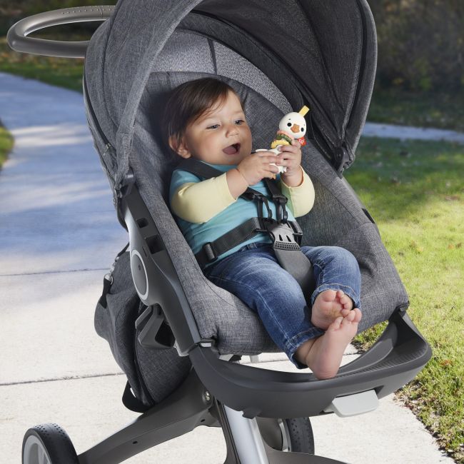 FISHER PRICE JUCARIE ZORNAITOARE GASCA VIVMTHRB19_HRB22