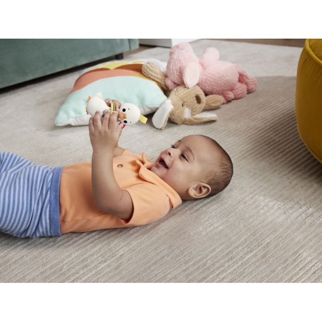 FISHER PRICE JUCARIE ZORNAITOARE GASCA VIVMTHRB19_HRB22