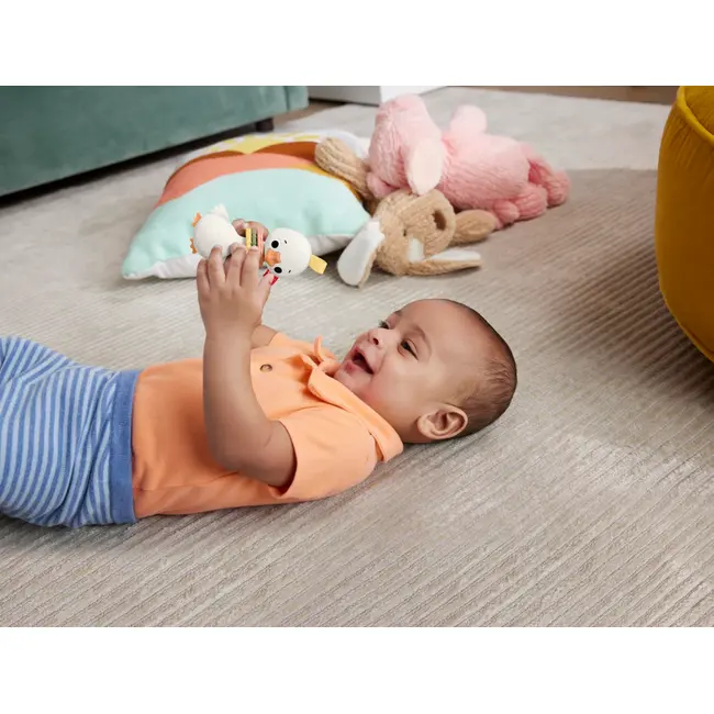 FISHER PRICE JUCARIE ZORNAITOARE GASCA VIVMTHRB19_HRB22