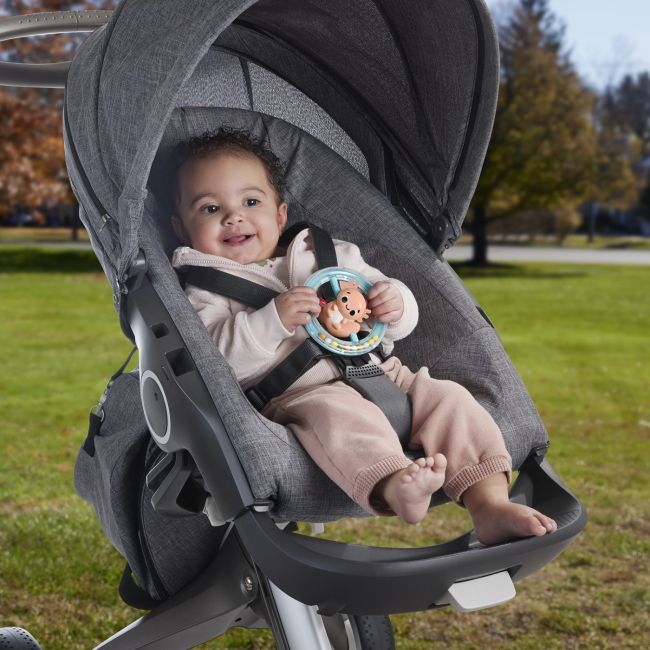 FISHER PRICE JUCARIE ZORNAITOARE SALAMANDRA VIVMTHRB19_HRB21