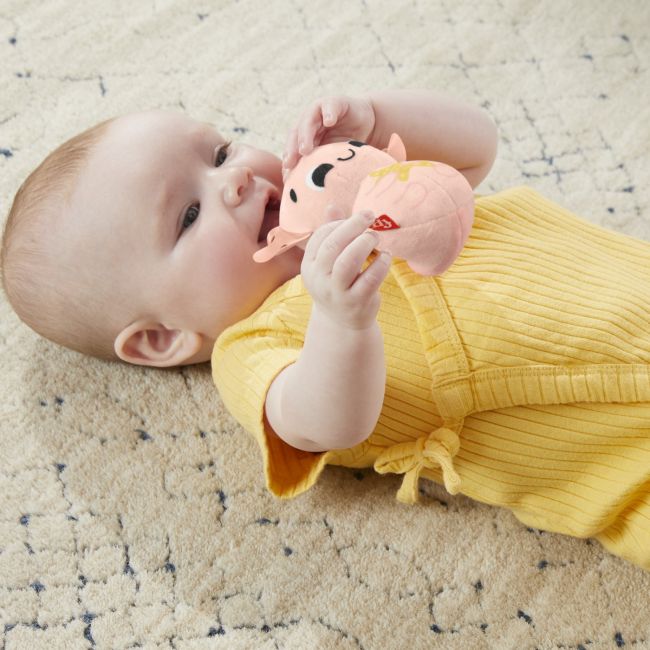 FISHER PRICE SET 4 JUCARII VIVMTHRB17