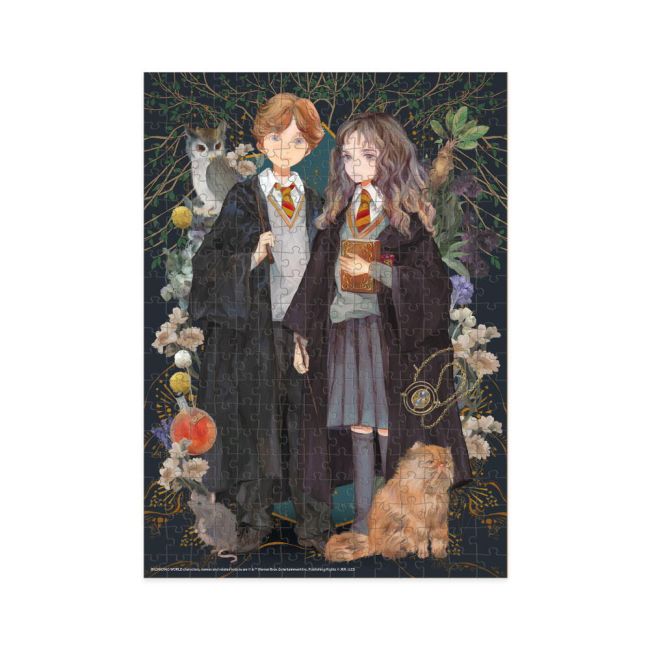 Puzzle harry potter - hermione si ronald ( 300 piese)