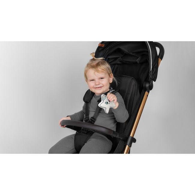 Carucior sport, Lionelo, Cloe, Cu accesorii, Cadru din aluminiu, Pana la 22 kg, Usor, Pliere compacta pentru avion, cu o singura mana, Ideal pentru toate tipurile de suprafete, 6 luni+, Black Onyx BYNLO-CLOE_BLACK_ONYX