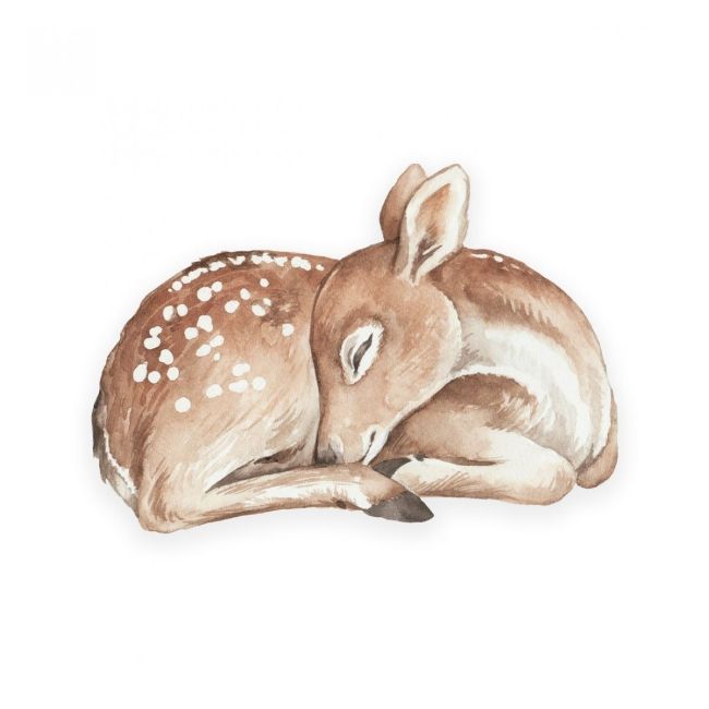 Perna - Bambi Big Pjb484432