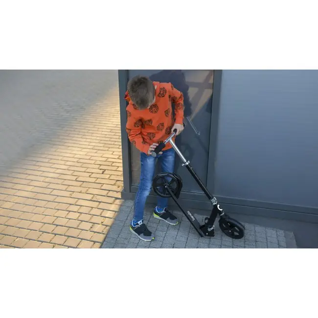 Trotineta, Lionelo, Luca, Pentru copii sau adulti, Ultrapliabila, Pana la 100 Kg, Conform cu standardul european de securitate EN14619, Roz BYNLO-LUCA_BLACK_CARBON_PINK