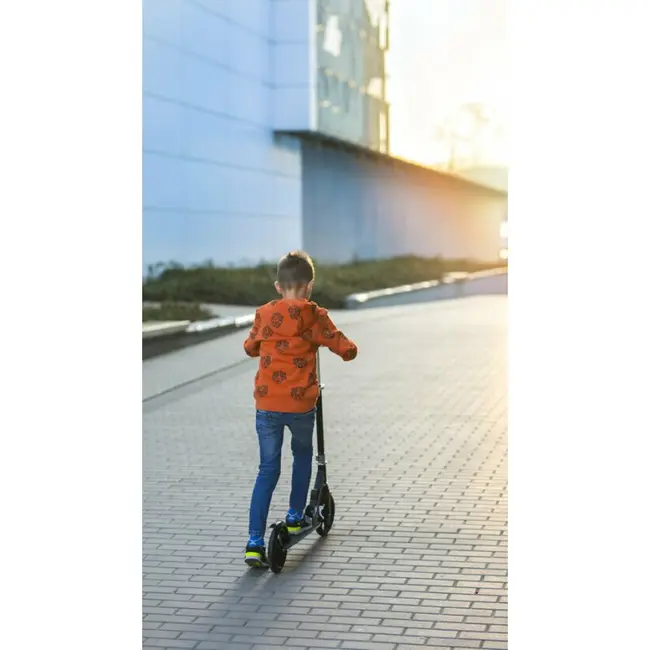 Trotineta, Lionelo, Luca, Pentru copii sau adulti, Ultrapliabila, Pana la 100 Kg, Conform cu standardul european de securitate EN14619, Roz BYNLO-LUCA_BLACK_CARBON_PINK