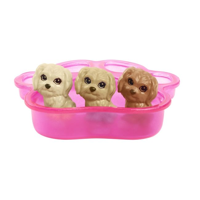 BARBIE SET PAPUSA BARBIE SI CATELUSII VIVMTHCK75