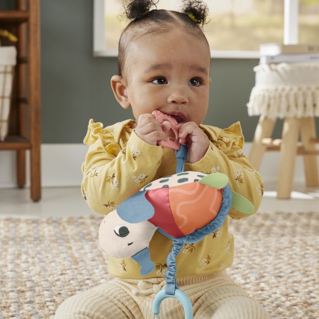 FISHER PRICE PLANET FRIENDS JUCARIE DE AGATAT BROSCUTA TESTOASA VIVMTHKD62