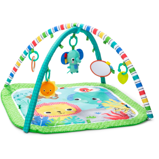 Bright starts - salteluta de activitati wild wiggles™ bbb12893