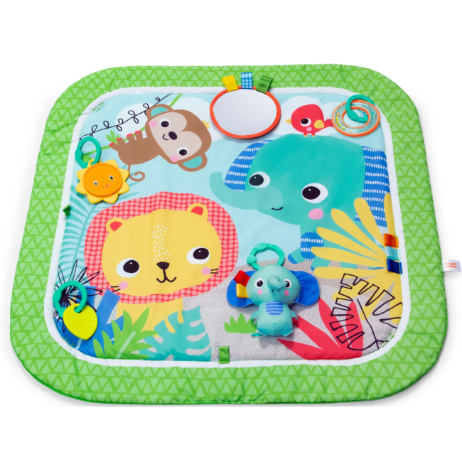 Bright starts - salteluta de activitati wild wiggles™ bbb12893