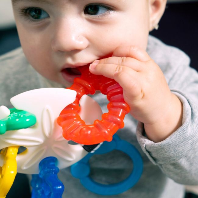Baby einstein - jucarie de dentitie ocean explorers sea of sensory bbb13158