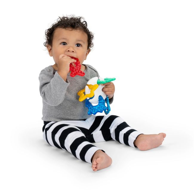 Baby einstein - jucarie de dentitie ocean explorers sea of sensory bbb13158