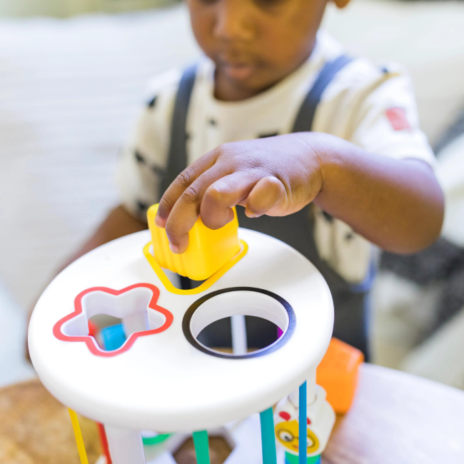 Baby einstein - set de jucarii senzoriale zen & cal's playground bbb12493