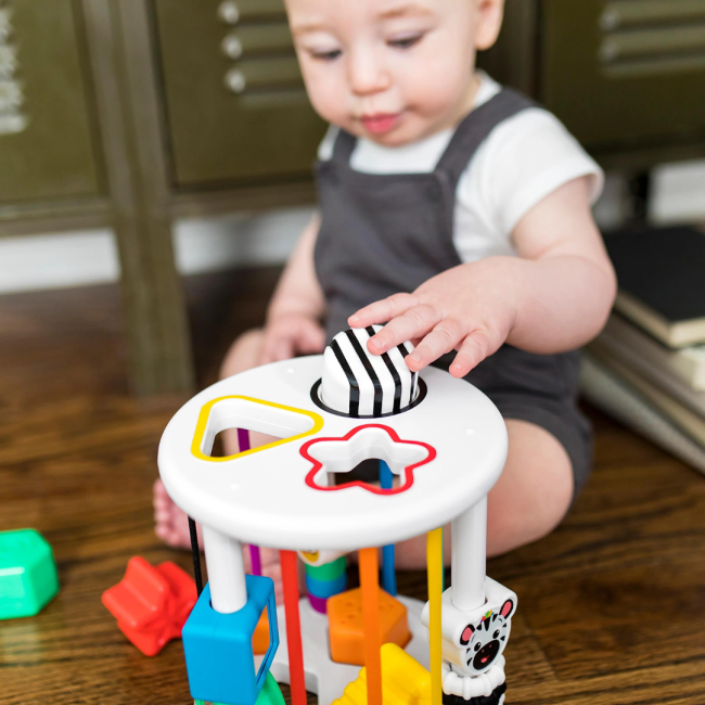 Baby einstein - set de jucarii senzoriale zen & cal's playground bbb12493