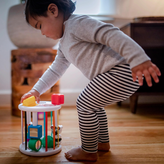 Baby einstein - set de jucarii senzoriale zen & cal's playground bbb12493