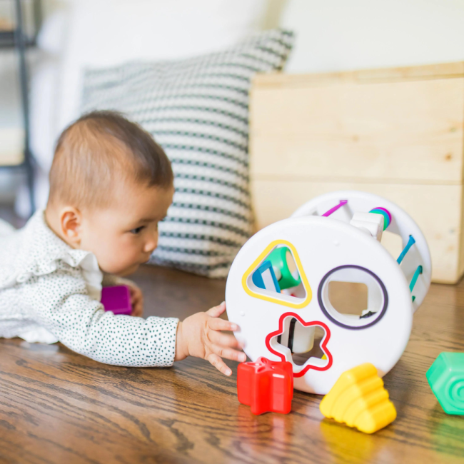 Baby einstein - set de jucarii senzoriale zen & cal's playground bbb12493