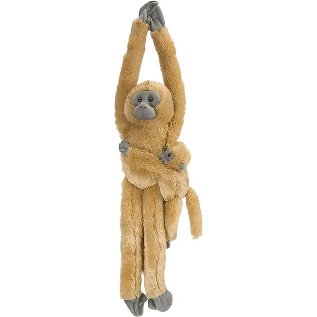 Maimuta care se agata com langur cu pui wr15262