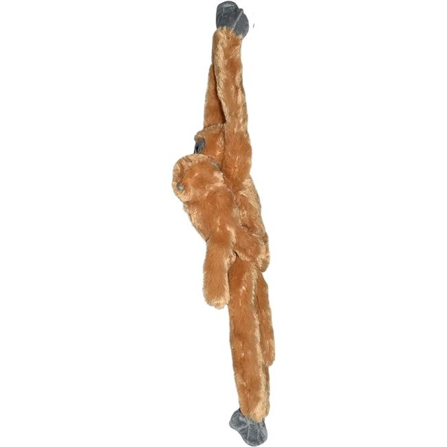 Maimuta care se agata com langur cu pui wr15262