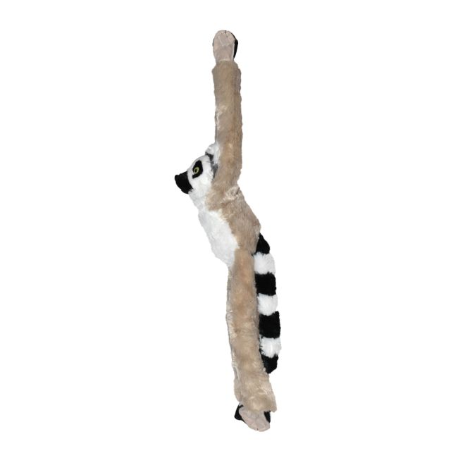 Maimuta care se agata lemur wr15261