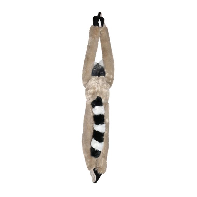 Maimuta care se agata lemur wr15261