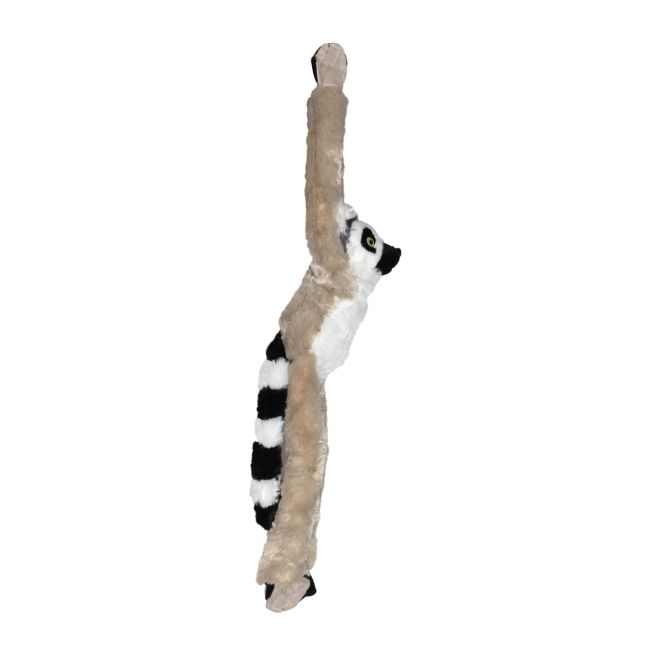 Maimuta care se agata lemur wr15261