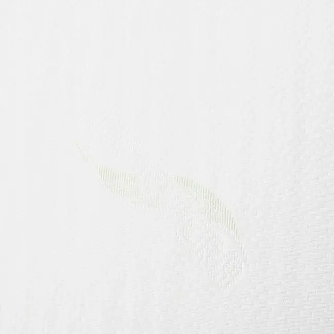 Perna, New Baby, Inclinata, Cu husa detasabila cu Aloe Vera, Din spuma poliuretanica, 60x38 cm, Inaltime 7 cm, 0 luni+, Alb BYN53080