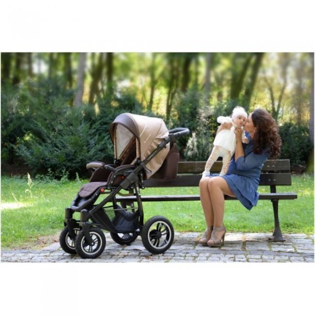 Carucior vessanti crooner 2 in 1 - pink/gray edeedibb-222pink