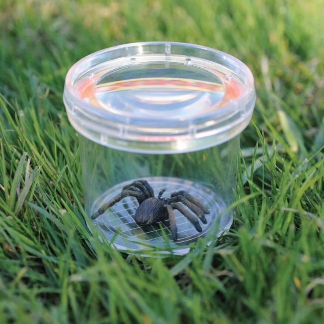 Geosafari® borcan pentru observarea insectelor