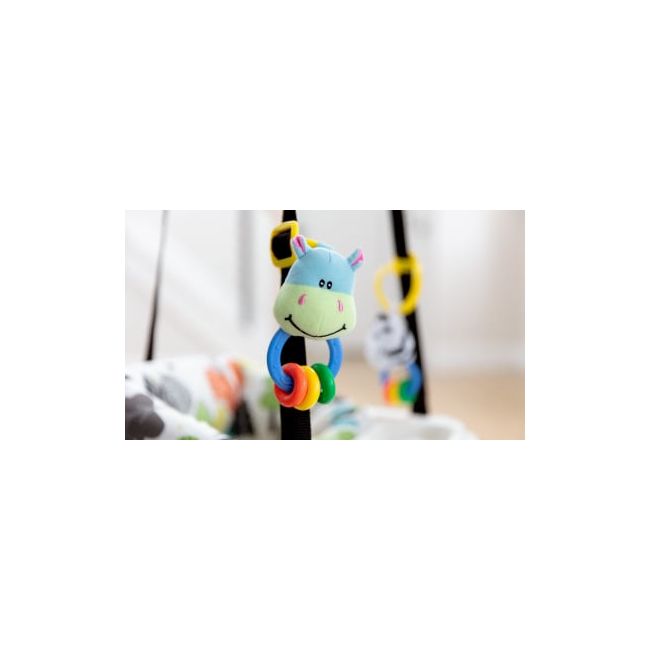 Graco Bumper Jumper Up  Away ERFG4E999UPAEU
