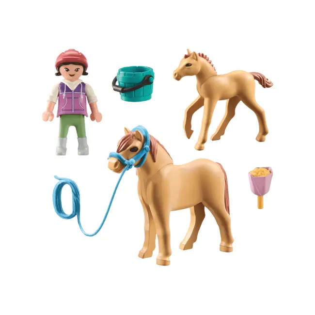 Playmobil-COPIL CU PONEI SI MANZ ARTPM71498