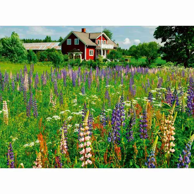 Ravensburger - Puzzle ferma in Suedia 500 piese ARTRVSPA00844
