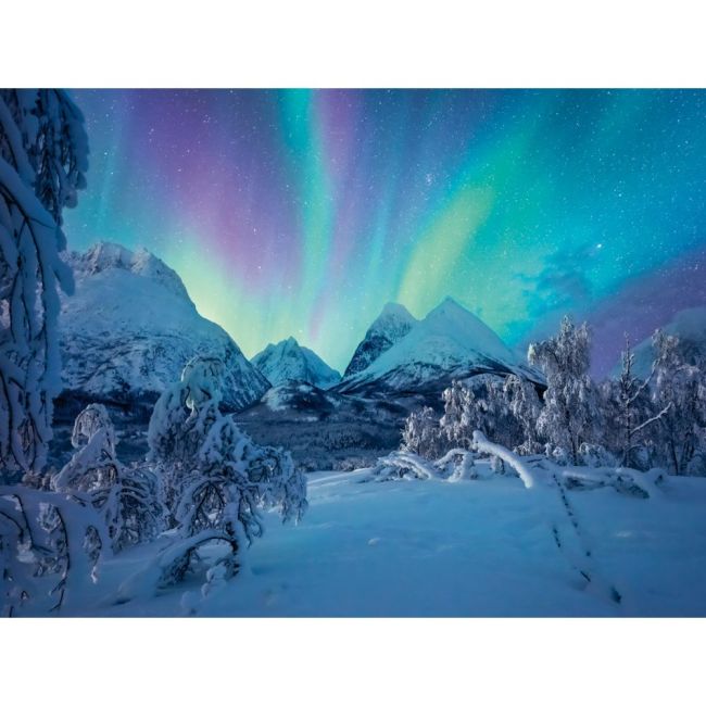 Ravensburger - Puzzle spectacol arctic 1500 piese ARTRVSPA00802