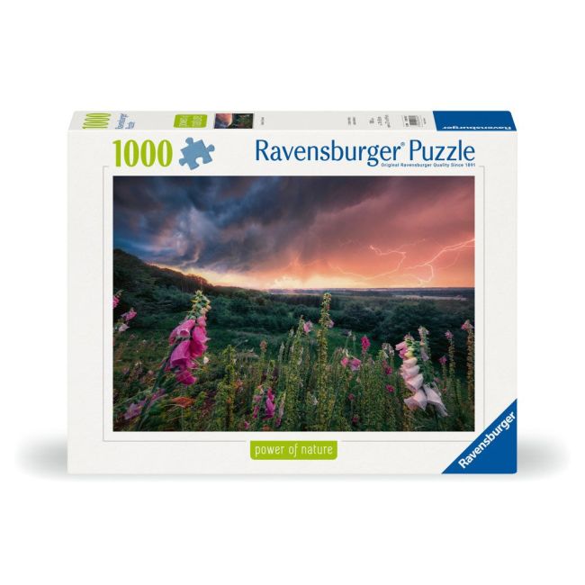 Ravensburger - Puzzle tunete 1000 piese ARTRVSPA00793