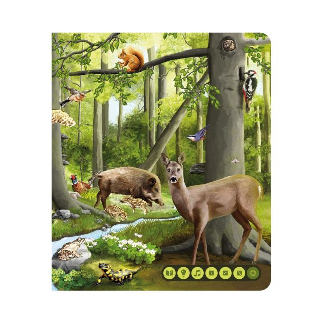 Pachet Raspundel Istetel, creion si carte Lumea animalelor BKF69366